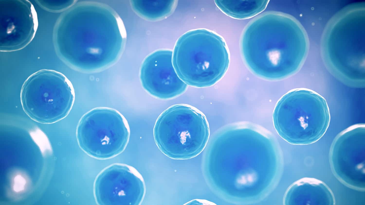 regeneracion celular terapia células madre