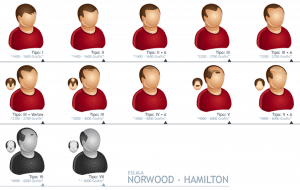 Escala Norwood K Max