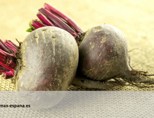 Betaína para el Cabello: Beneficios Reales y sus Usos