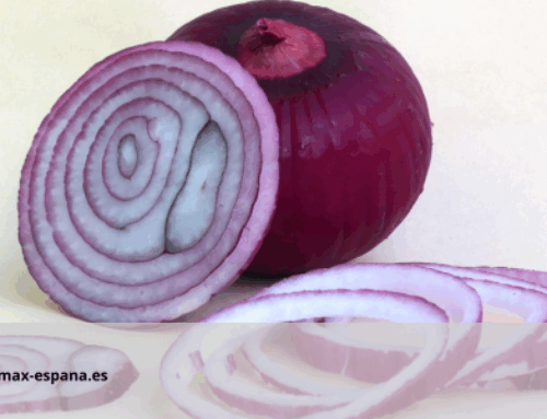 Cebolla para el pelo: ¿remedio natural o mito popular?