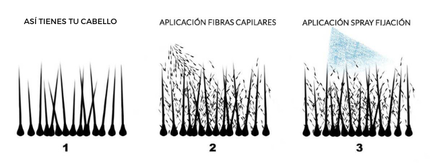 como-funcionan-las-fibras-capilares